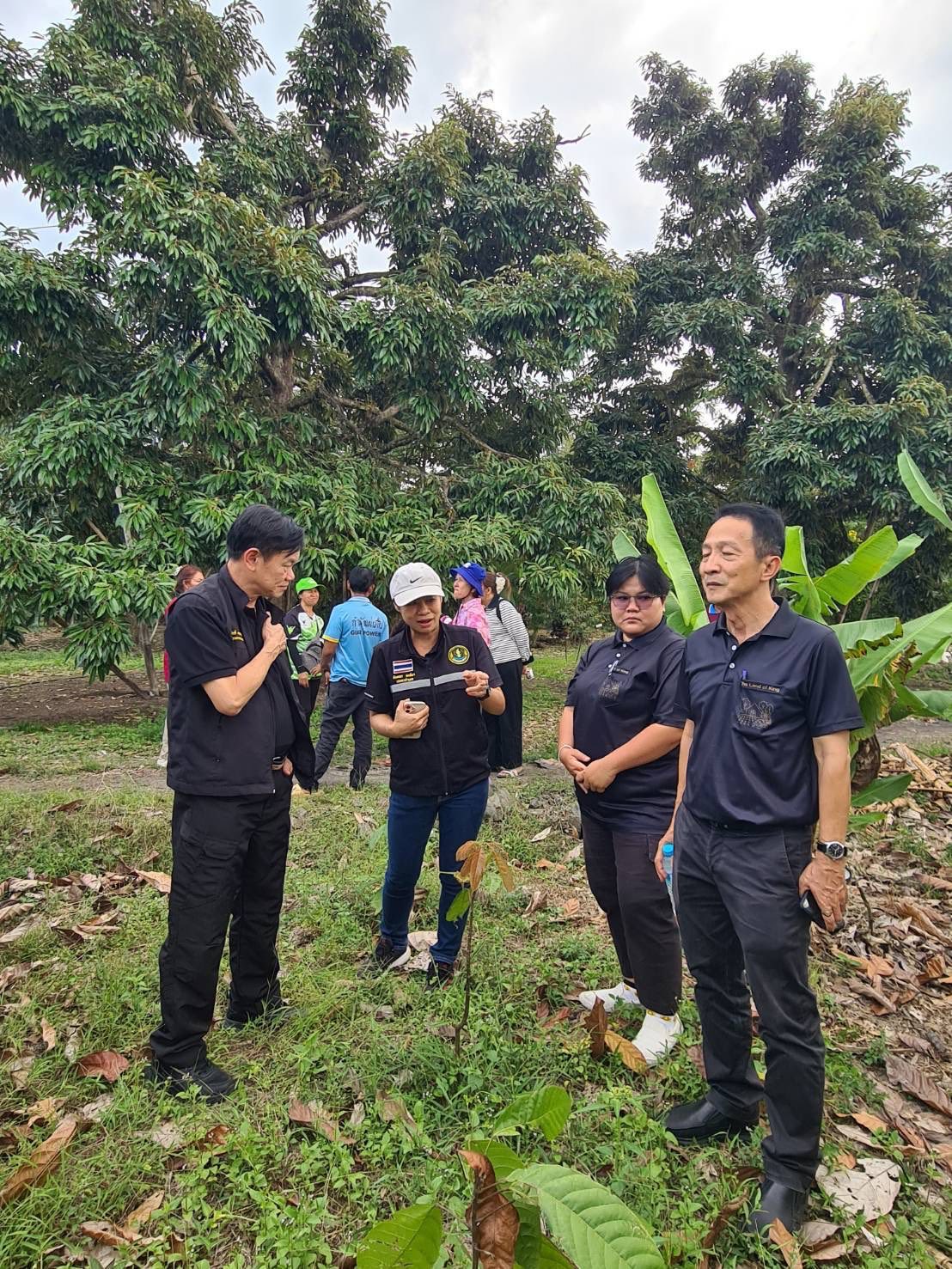 title - ผู้ตรวจราชการกรม ประชุมติดตามผลการดำเนินงานตามแผนการตรวจราชการของ ส.ป.ก. ประจำปีงบประมาณ พ.ศ. 2569 รอบที่ 1 จังหวัดประจวบคีรีขันธ์